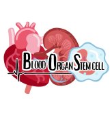 SFU Blood, Organ, and Stem Cell Club