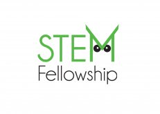 STEM Fellowship