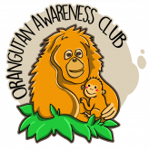 Orangutan Awareness Club