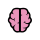 Behavioural Neuroscience Student Society (BNSS)